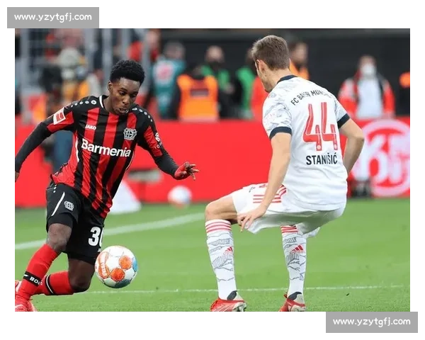 霍芬海姆对阵强敌的德甲焦点之战前瞻与看点解析全面分析预测赛况